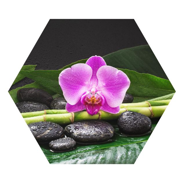 Cuadros de flores Green Bamboo With Orchid Blossom