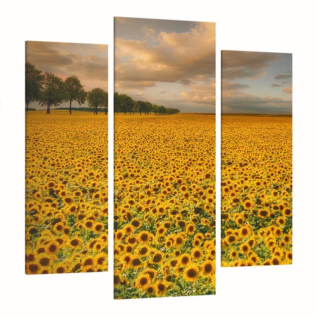 Cuadros paisajes Field With Sunflowers