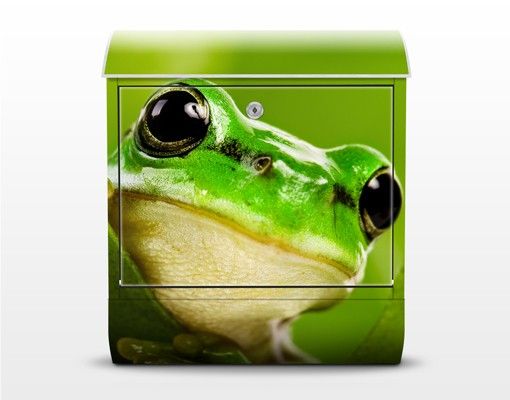 Buzón verde Frog