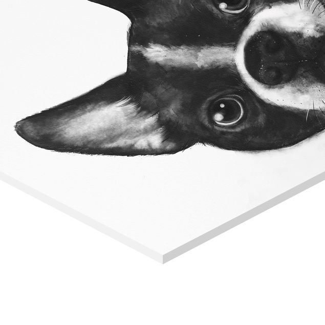 Cuadros decorativos Illustration Dog Boston Black And White Painting