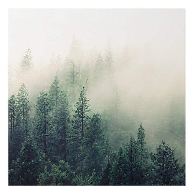 Cuadros de árboles Foggy Forest Awakening