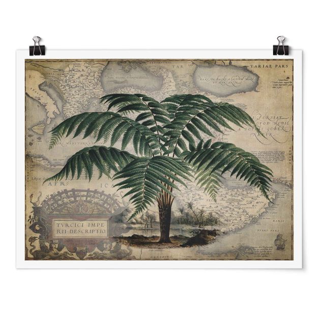 Póster mapamundi grande Vintage Collage - Palm And World Map