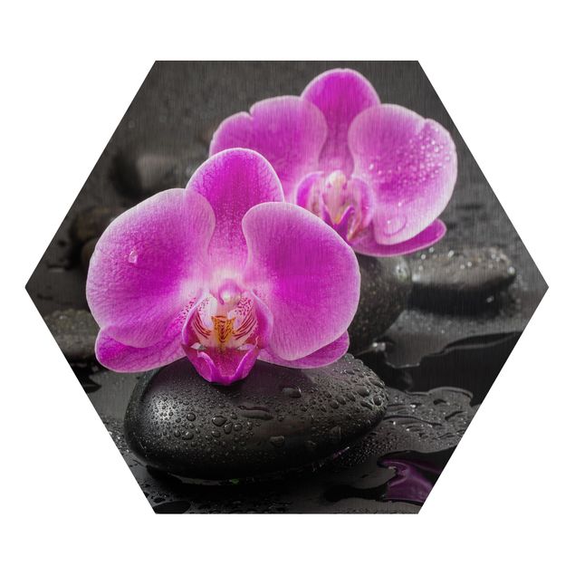 Reproducciónes de cuadros Pink Orchid Flower On Stones With Drops