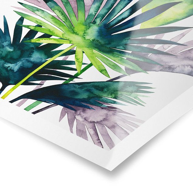 Cuadros decorativos Exotic Foliage - Fan Palm