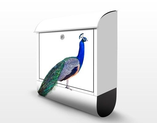 Buzón exterior Peacock