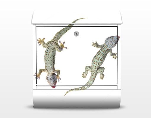 Buzón verde Nosey Geckos