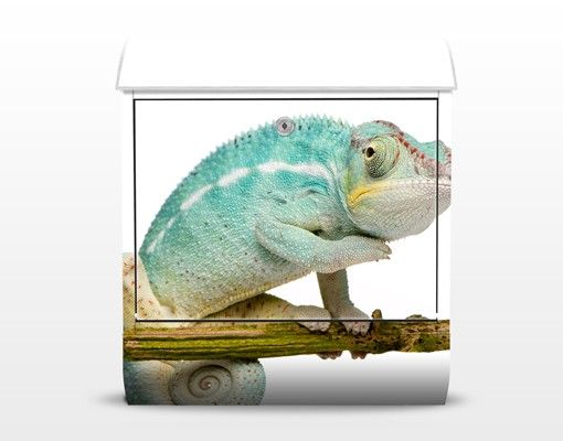 Buzón azul Blue Chameleon