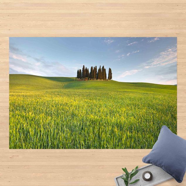 Alfombra exterior Green Field In Tuscany