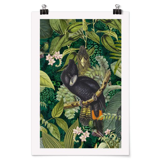 Cuadros de plantas Colourful Collage - Cockatoos In The Jungle