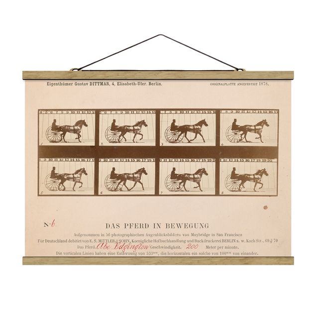 Estilos artísticos Eadweard Muybridge - The horse in Motion