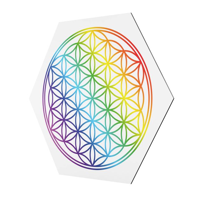 cuadros hexagonales Flower of Life rainbow color
