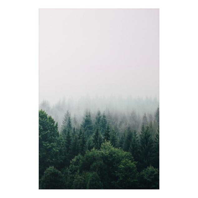 Cuadros de árboles Foggy Forest Twilight