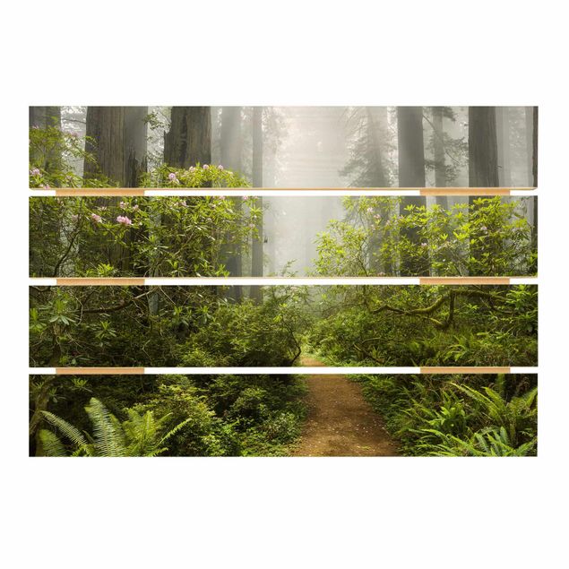 Cuadros modernos Misty Forest Path