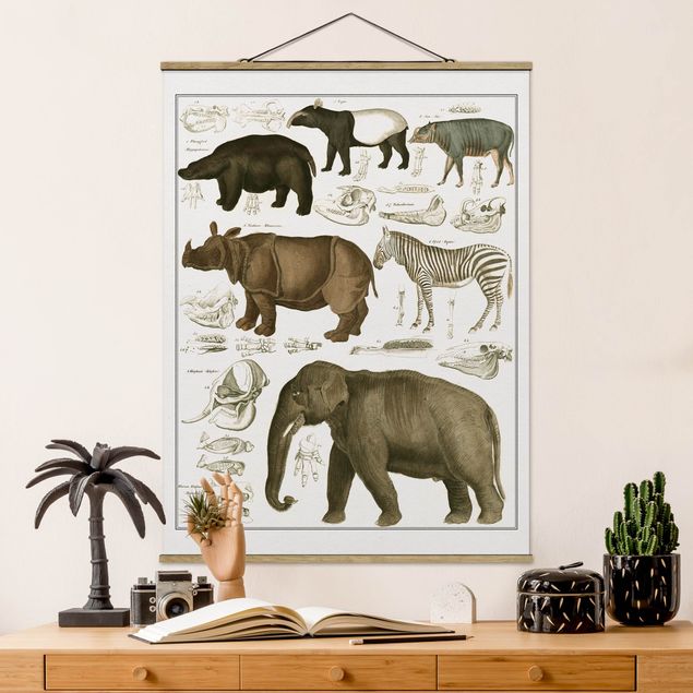 Decoración cocina Vintage Board Elephant, Zebra And Rhino