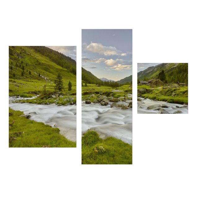 Lienzos de paisajes Alpine meadow Tirol