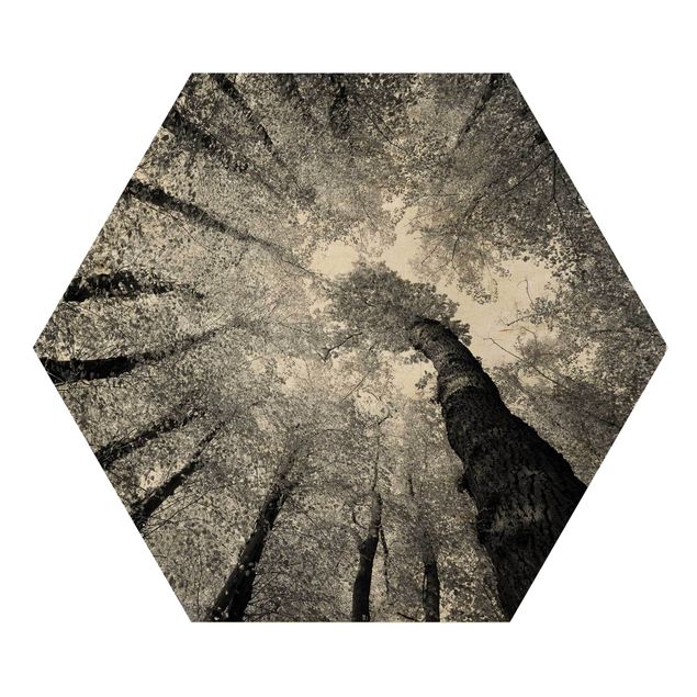 Hexagon Bild Holz - Bäume des Lebens II