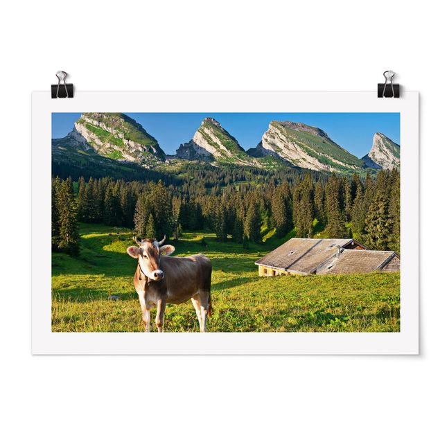 Cuadros montañas Swiss Alpine Meadow With Cow