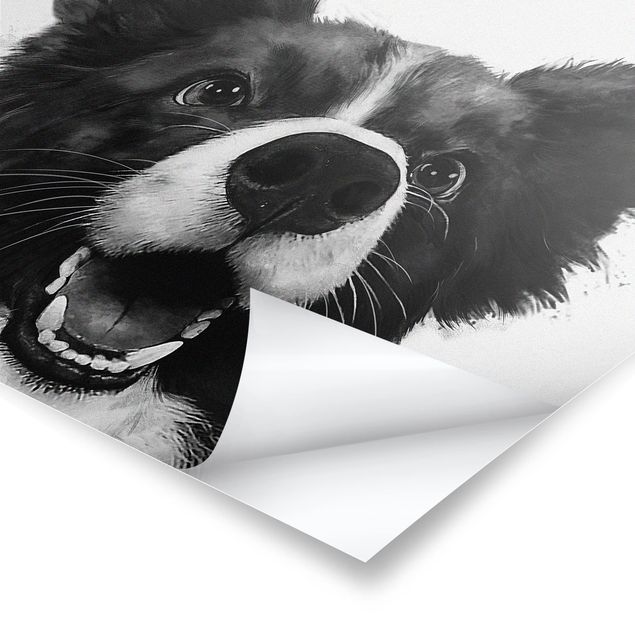 Cuadros Laura Graves Arte Illustration Dog Border Collie Black And White Painting