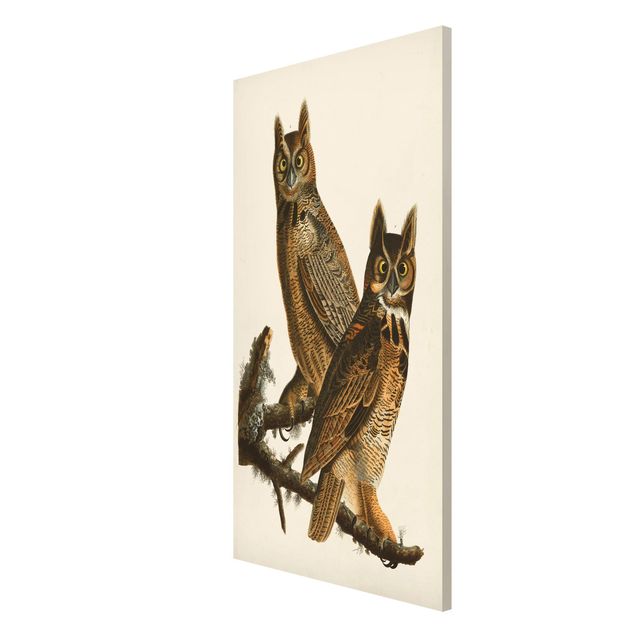 Cuadros retro Vintage Board Two Large Owls