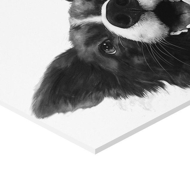Cuadros modernos Illustration Dog Border Collie Black And White Painting