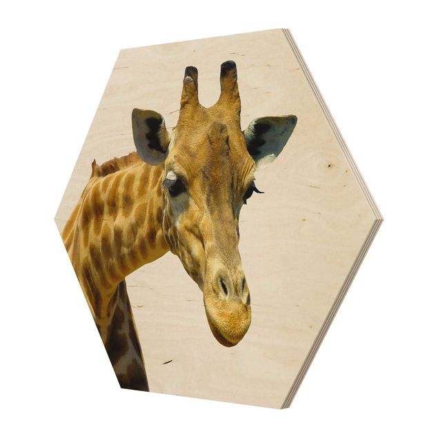 Hexagon Bild Holz - No.21 Neugierige Giraffe