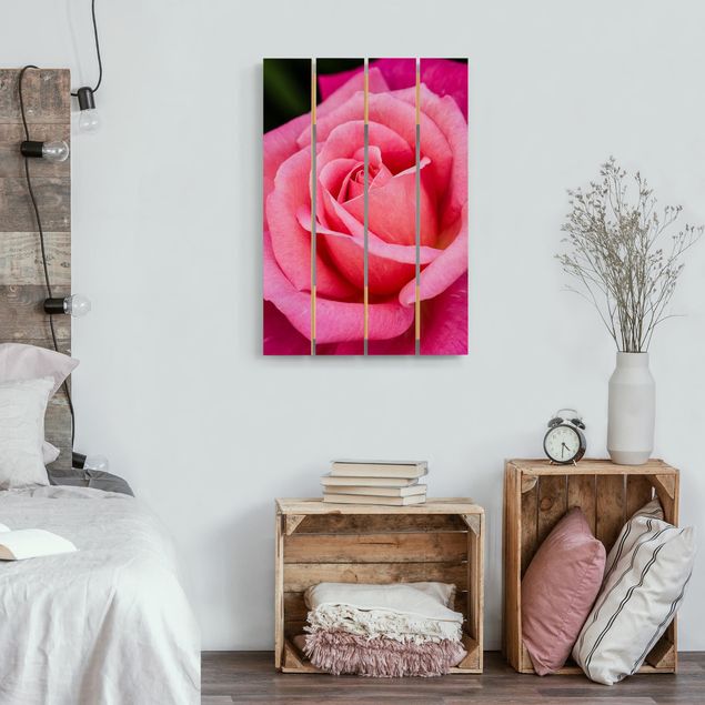 Cuadros de madera flores Pink Rose Flowers Green Backdrop