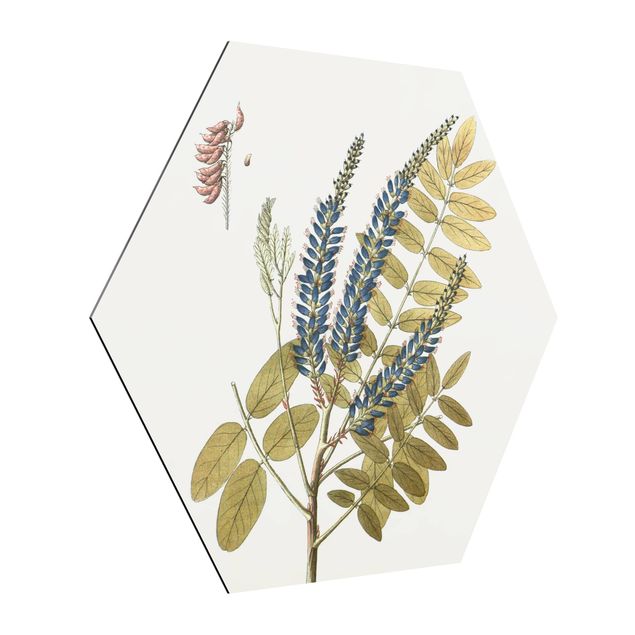 Cuadros decorativos modernos Wild Herbs Board II