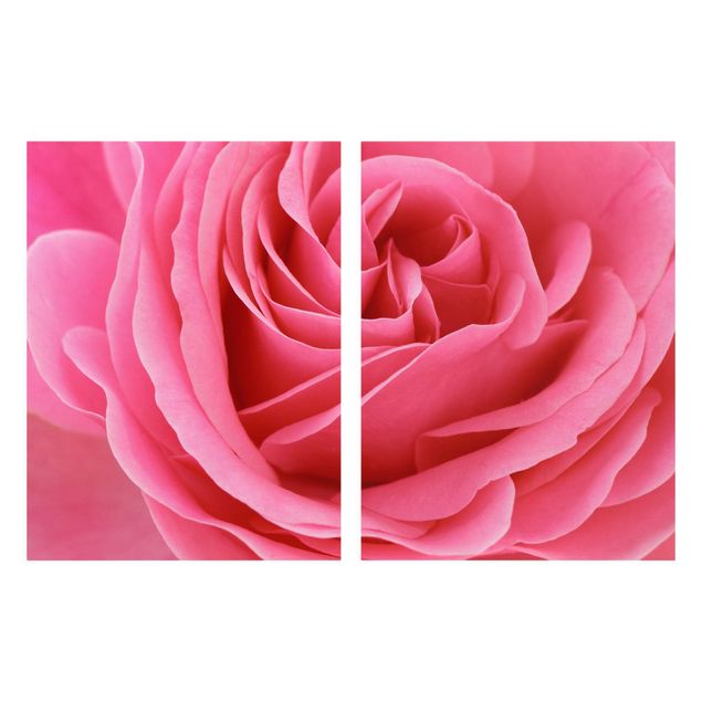 Cuadros flores Lustful Pink Rose