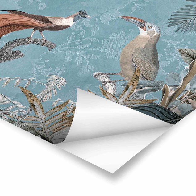 Láminas decorativas Vintage Collage - Birds Of Paradise