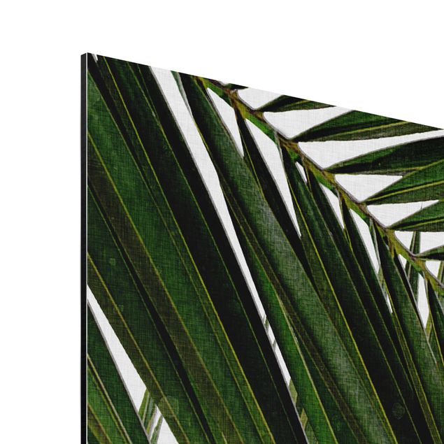 Reproducciónes de cuadros View Through Green Palm Leaves