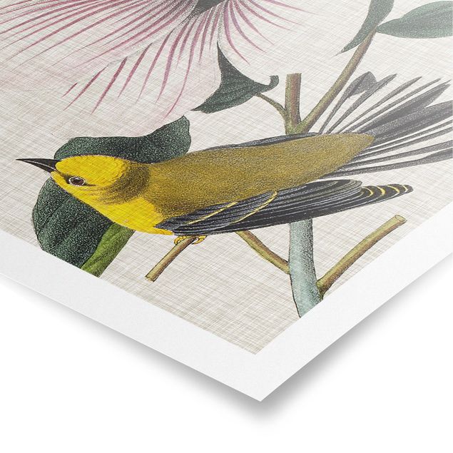 Cuadros de flores modernos Bird On Linen Yellow I