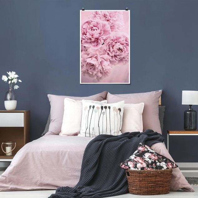 Lámina de flores Pink Peonies