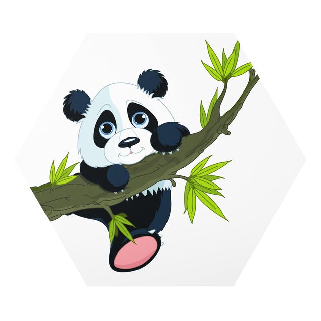 Cuadros de naturaleza Climbing Panda