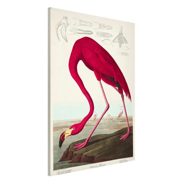 Decoración en la cocina Vintage Board American Flamingo