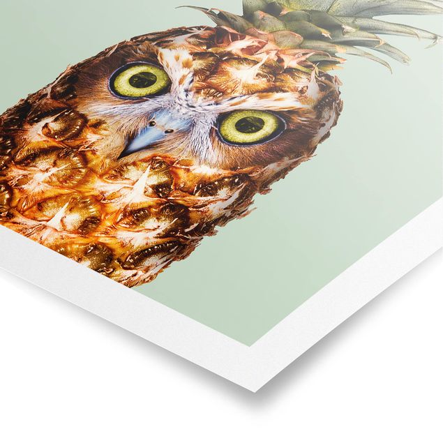 Cuadros tonos verdes Pineapple With Owl