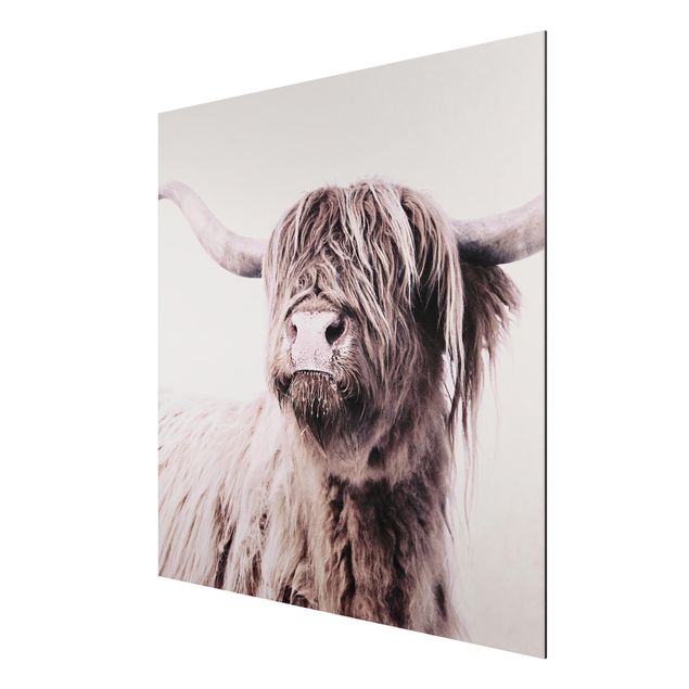 Cuadros infantiles animales Highland Cattle Frida In Beige