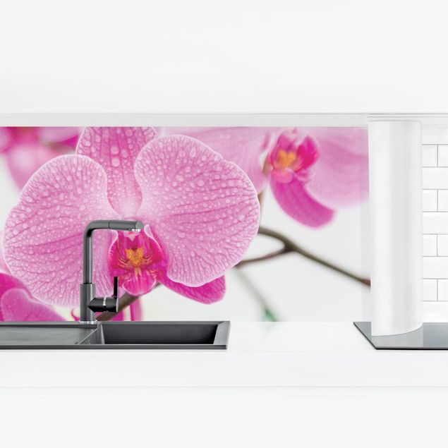 Salpicaderos de cocina Close-Up Orchid