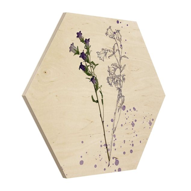 Cuadros decorativos Botanical Watercolour - Bellflower