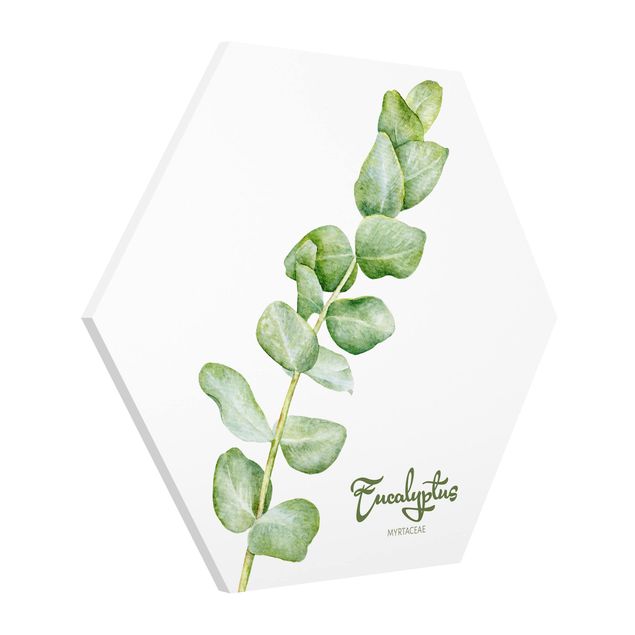 Cuadros con frases motivadoras Watercolour Botany Eucalyptus