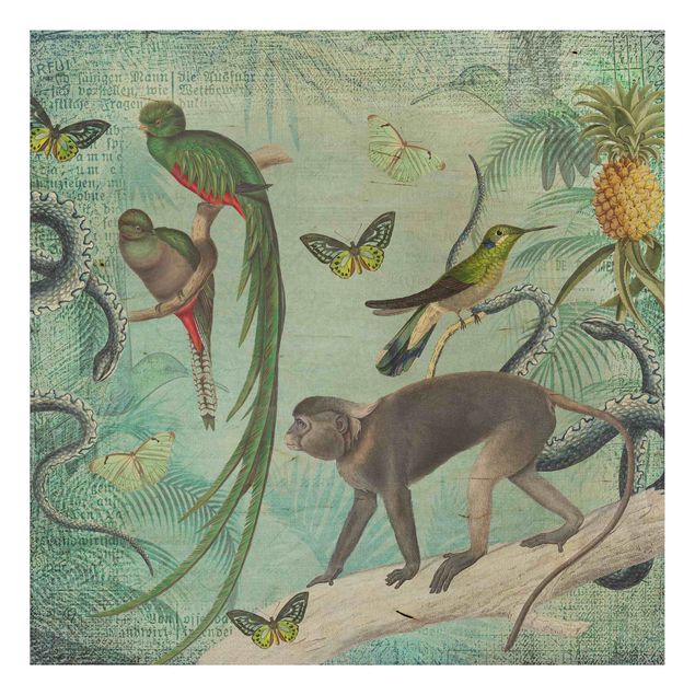 Cuadros de madera flores Colonial Style Collage - Monkeys And Birds Of Paradise