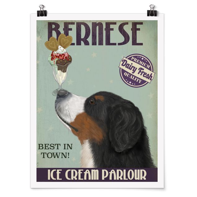 Póster de animales Bernese Mountain Dog With Ice