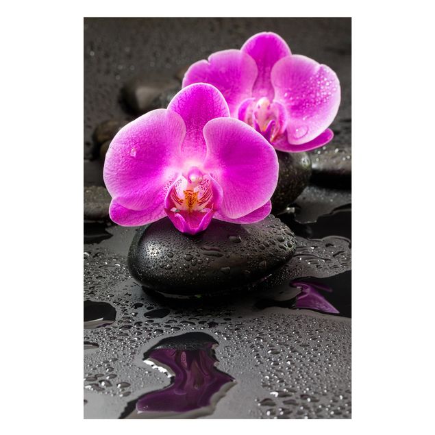Decoración de cocinas Pink Orchid Flower On Stones With Drops