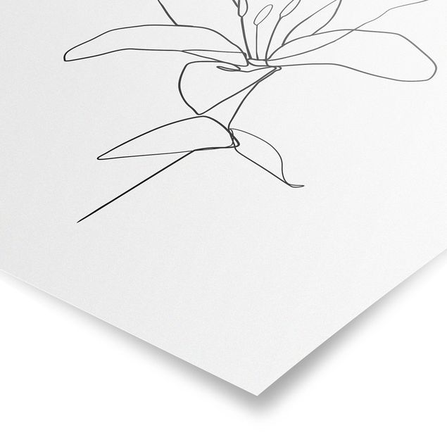 Cuadros de plantas Line Art Flower Black White