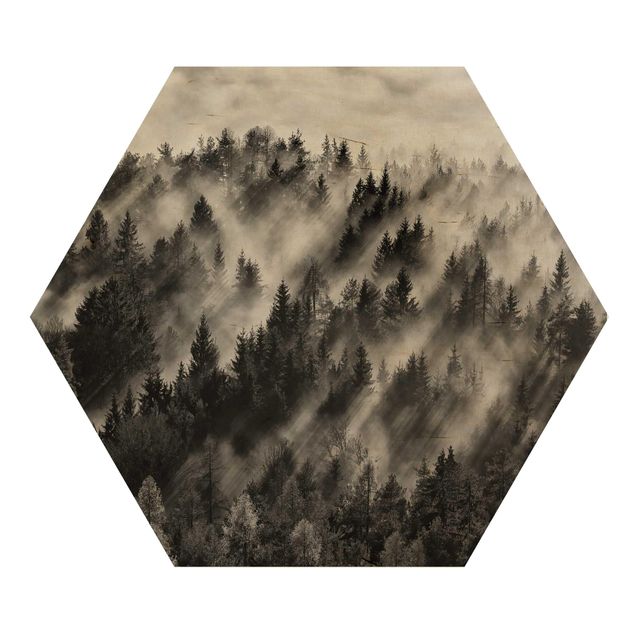 Hexagon Bild Holz - Lichtstrahlen im Nadelwald