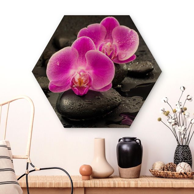 Cuadros de orquideas blancas Pink Orchid Flowers On Stones With Drops