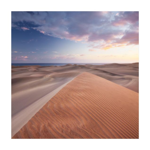Alfombras color crema View Of Dunes