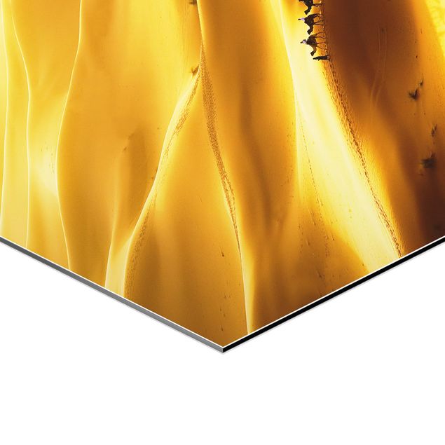 cuadro hexagonal Golden Dunes