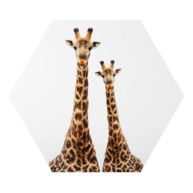 Cuadros Portait Of Two Giraffes