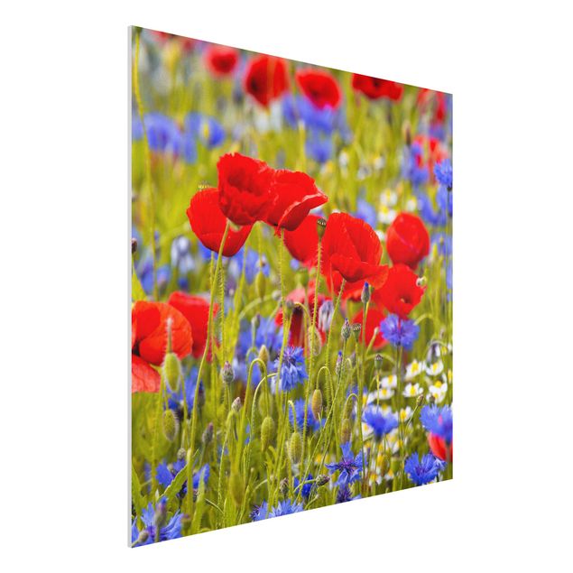 Campo de amapolas cuadro Summer Meadow With Poppies And Cornflowers