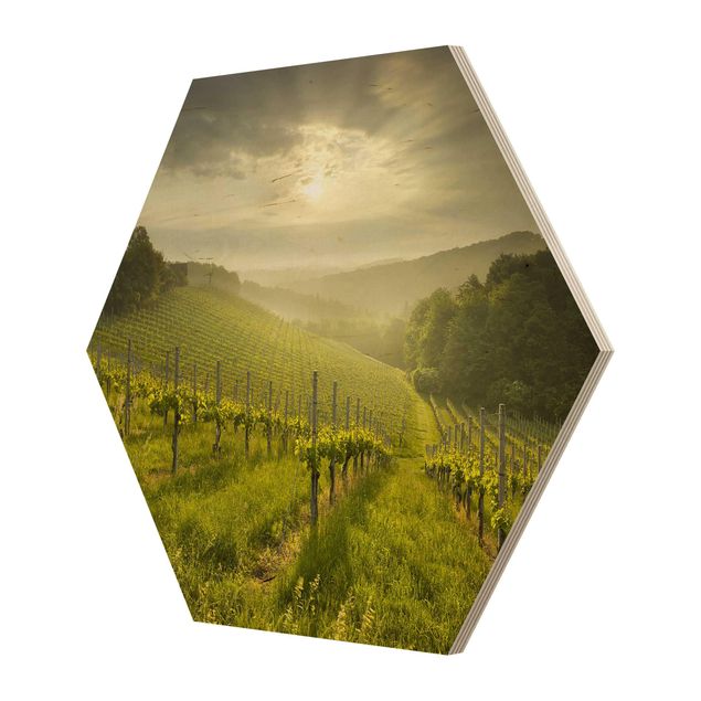 Cuadros hexagonales Sunrays Vineyard